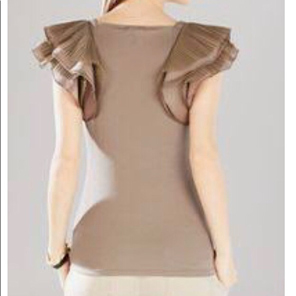 BCBG Mirabelle Layered Ruffle Sleeve Top Bare Pink